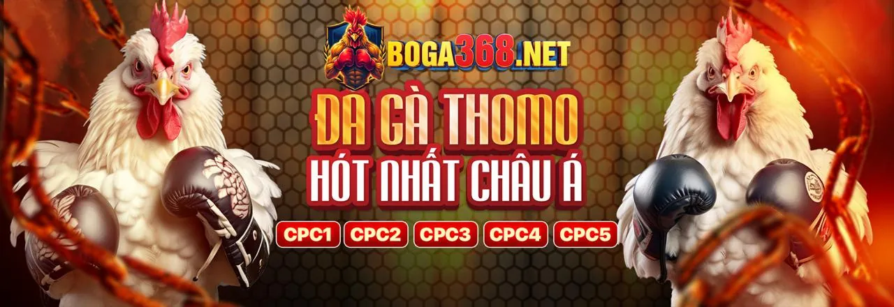Coi cá cược là giải trí